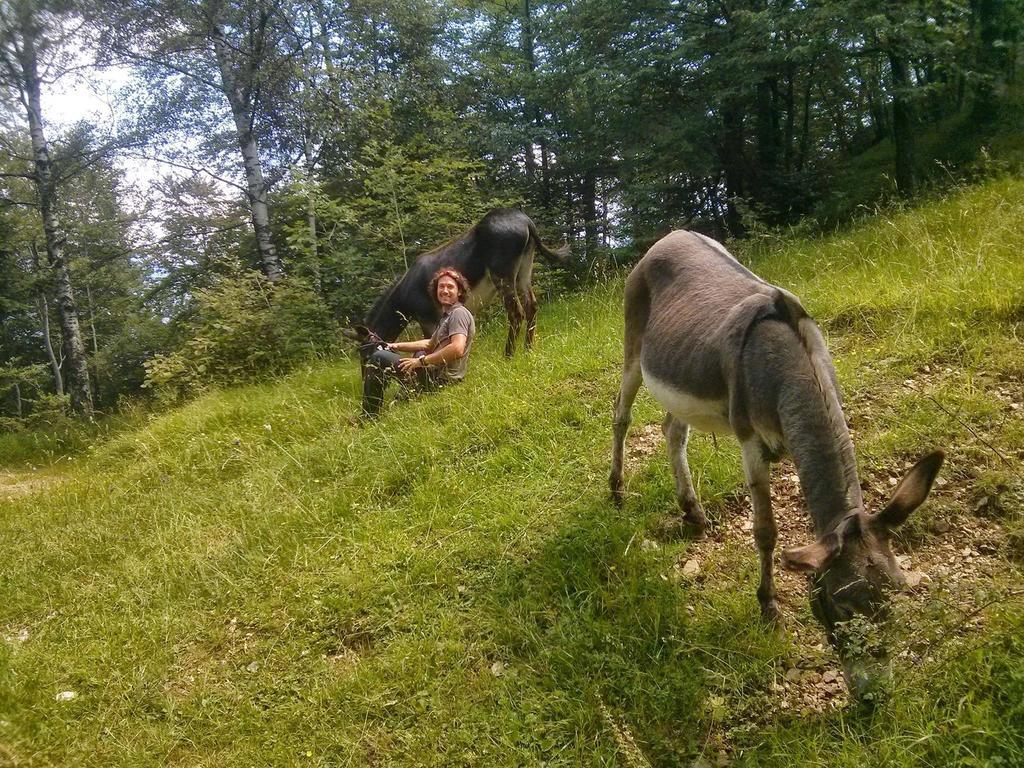 B&B Casabasoti Valli del Pasubio Eksteriør bilde