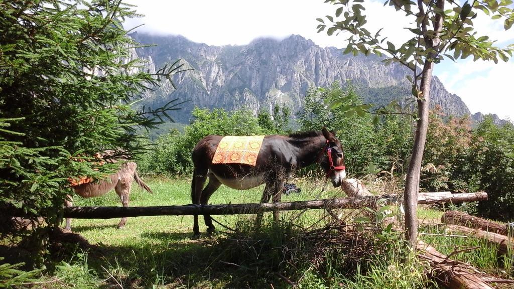 B&B Casabasoti Valli del Pasubio Eksteriør bilde